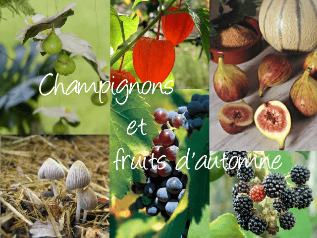   décoration mariage table loisirs créatifs thème automne inspirations idées