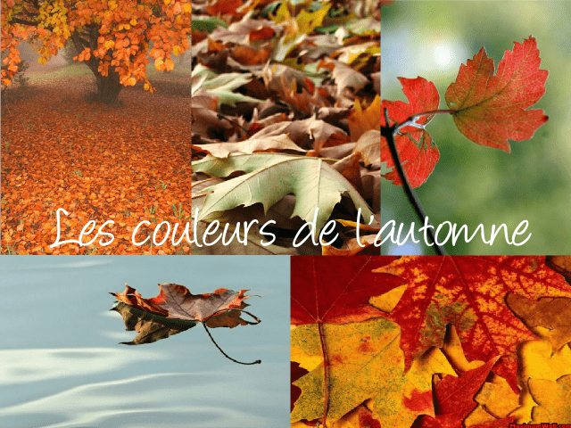   décoration mariage table loisirs créatifs thème automne inspirations idées