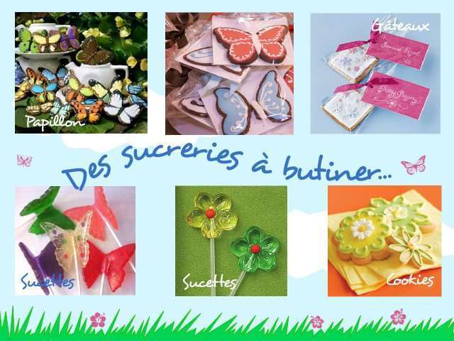  décoration mariage idées thème papillon champêtre cadeaux aux invités biscuits sucettes
