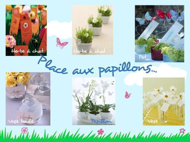  décoration mariage  papillon  marque place porte nom pot herbe à chat vase boule 