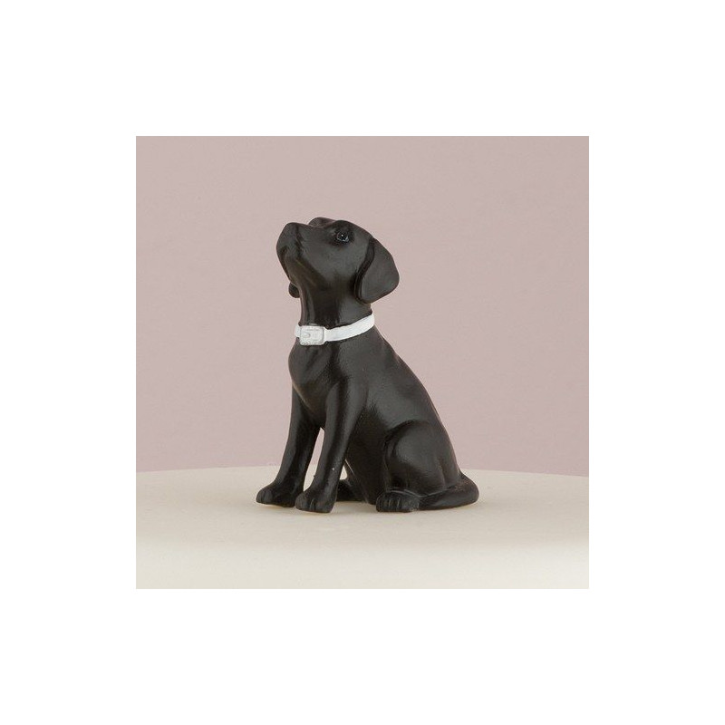 Maison Fetes Occasions Speciales Pour De Chien Noir Labrador Personnalise Anniversaire Carte