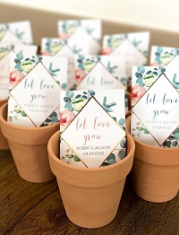 https://www.decorationsdemariage.fr/img/cms/cadeaux/cadeau-invites-mariage-semences.jpg
